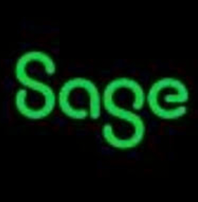 Sage AP Ai Tool