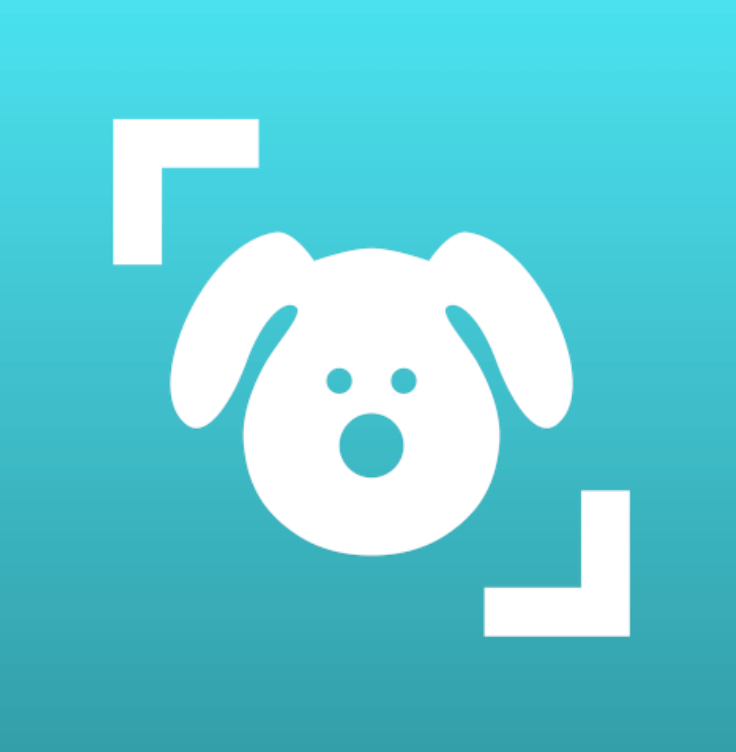 Dog Scanner App Ai Tool